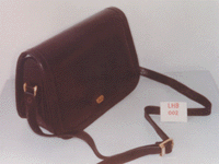 Ladies Handbag (LHB-2)